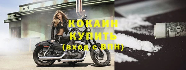 прущий лед Алзамай
