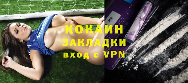 хмурый Аркадак