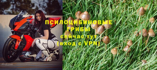 тгк Алексин