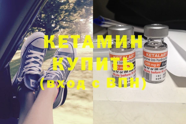 хмурый Аркадак
