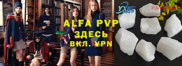 прущий лед Алзамай