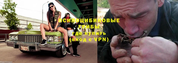 прущий лед Алзамай