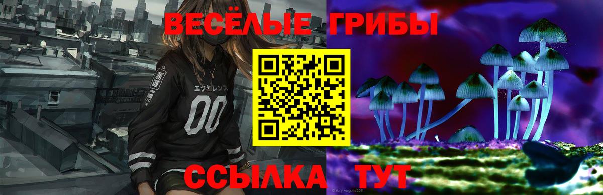 Псилоцибиновые грибы Psilocybe Обнинск